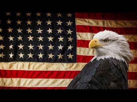 President Biden signs 50 new bills into law, one officially making American Eagle national bird