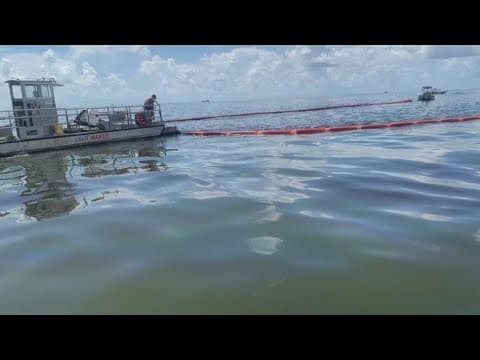 Louisiana Gulf Coast shrimpers sue over 2022 oil spill