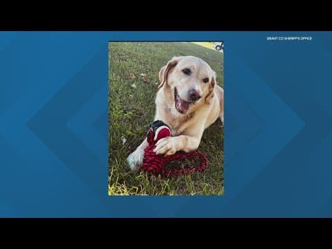 Grant County Sheriff's Office K-9 officer dies