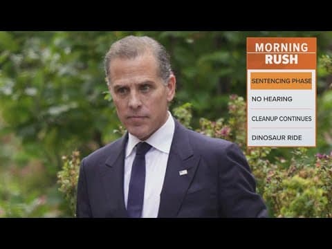 Joe Biden's son Hunter faces 25 years in jail