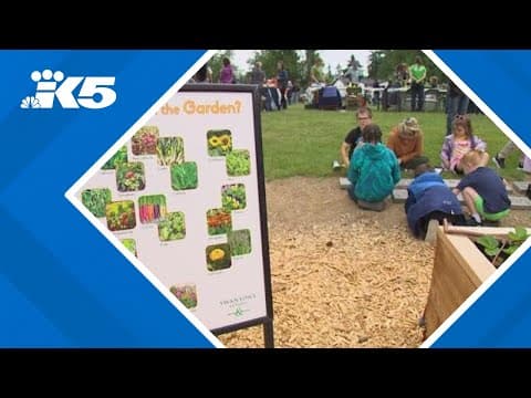 Seattle Seahawks spruce up Federal Way elementary school