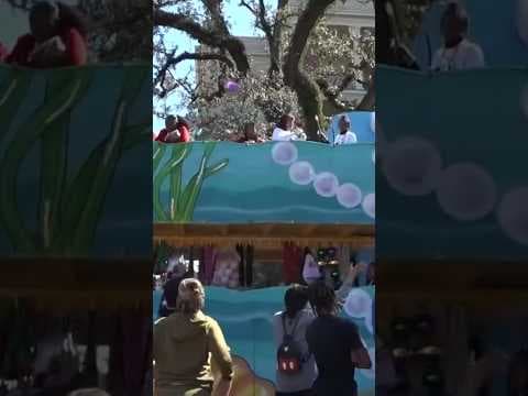 Less than 100 days until Mardi Gras. It’s on February 13 in 2024 #mardigras