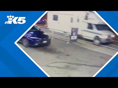 Skyway hit-and-run suspect arrested