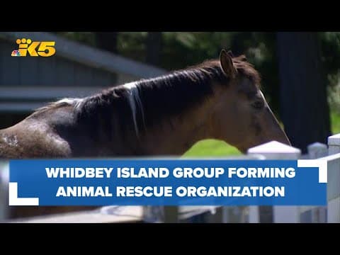 Whidbey group forming large animal rescue organization