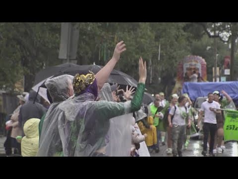 Carnival krewes monitoring forecast