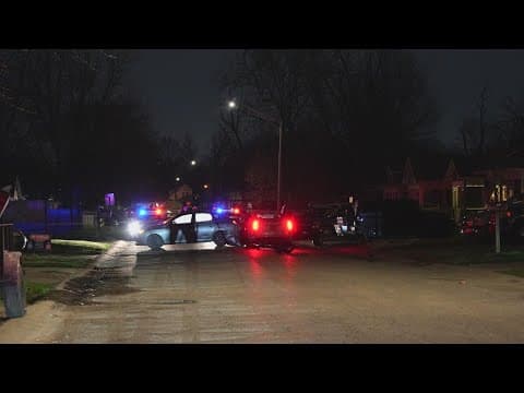 Man found shot and killed inside vehicle