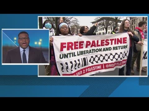 Ceasefire rally held outside Israel Embassy