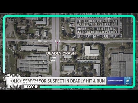 Police search for suspect in Pinellas Park hit and run