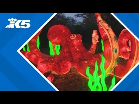 YouTube thumbnail for video L5Xoekpw8bc
