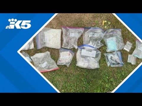 19 charged in bust of Sinaloa Cartel-connected drug ring operating in western Washington