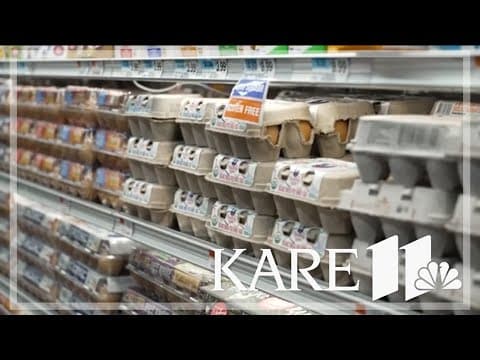 Egg prices 37% higher than last year, what's causing the surge?