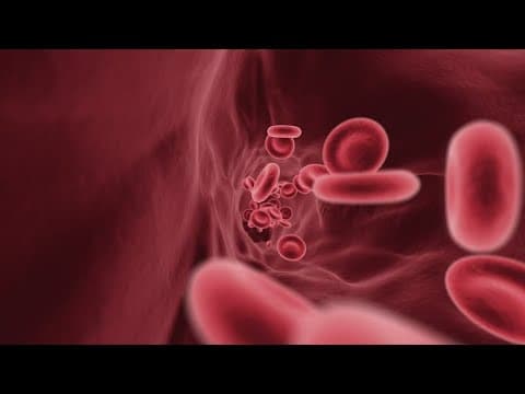 What you need to know about House Majority Leader Steve Scalise's very treatable blood cancer – Mult