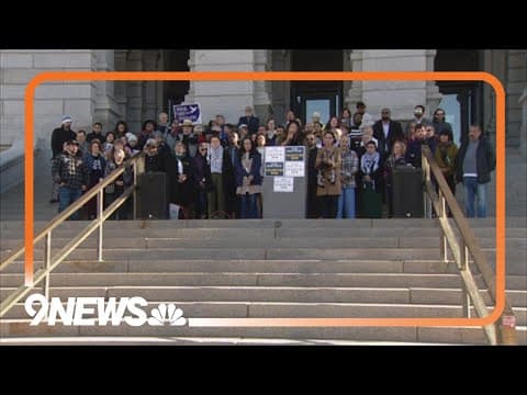 Rally at Capitol calls for ceasefire between Israel and Hamas