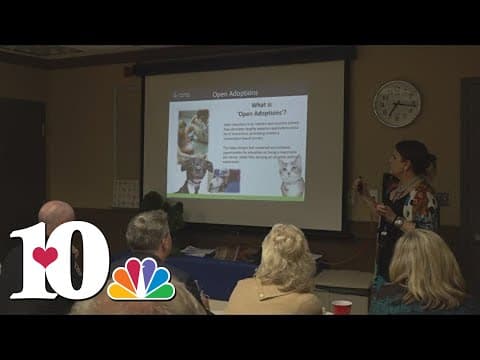 Young Williams proposes taking over animal control in Knox County