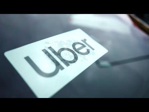 Uber releases annual lost-and-found index, including mannequin head and turtle