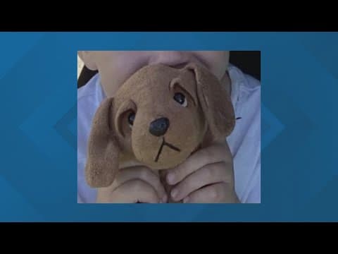 Indianapolis boy searching for lost stuffed animal