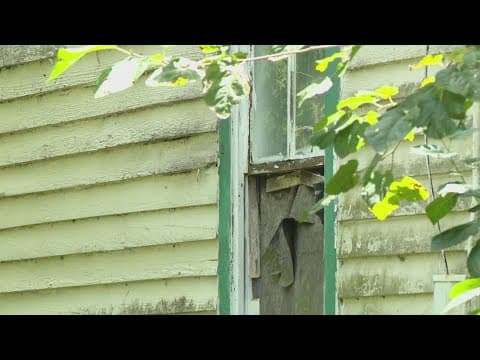 Only on KHOU 11 | Galveston County man says millions of bees have taken over his home for decades