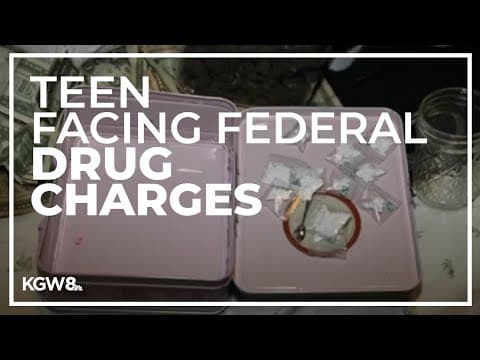 Teen allegedly used social media to sell drugs to minors in Portland metro area