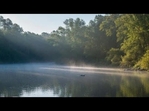 4,270-year-old human skull found on bank of river in Fayette County