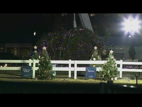 Why the 2023 White House Christmas Tree fell over