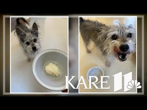 Your Good News: Karin Ness, Tom and Carrie Williams, Sandi Doolittle