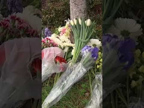 3 kids, 1 woman killed in Renton crash caused by 18-year-old