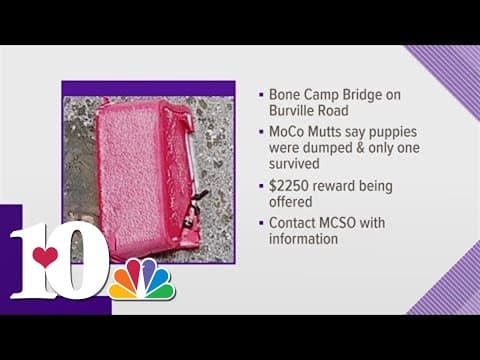 Morgan Co. Sheriff's Office asking for help on severe animal cruelty cast in Burrville Community