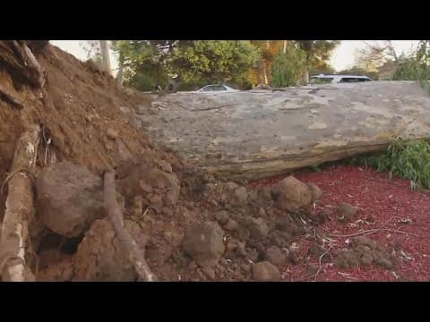 Balboa Park reopens after temporary closure due to dozens of trees that snapped due to gusty winds