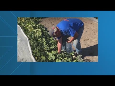 Oregon farmer's warning to Maryland residents fighting powerline developers