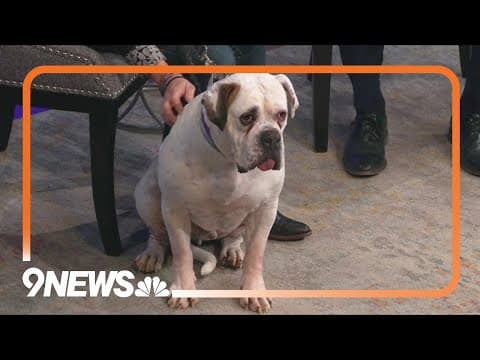 No valentine this year? Sweet Spuds can keep you company!