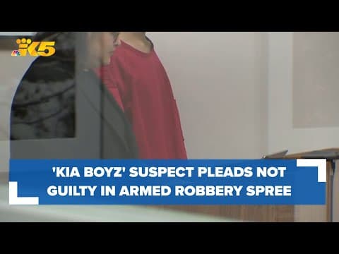 One of two 'Kia Boyz' suspects appears in court