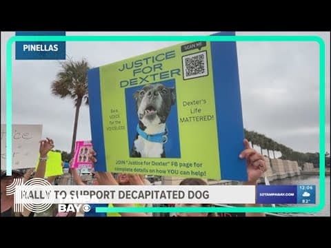 Community members to support decapitated dog in Pinellas County
