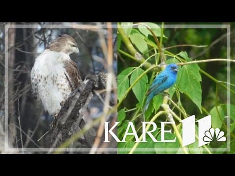 Your Good News: Randy, Nancy, Lennon
