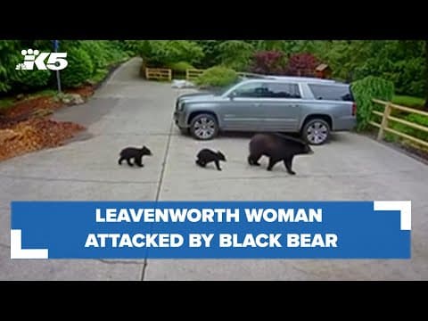 Leavenworth woman attacked by black bear