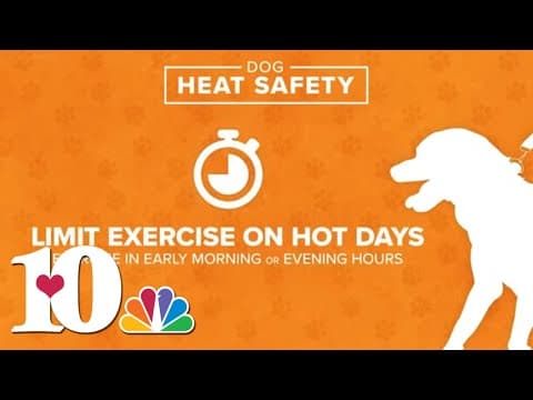 Tips for staying safe in the heat as temperatures rise