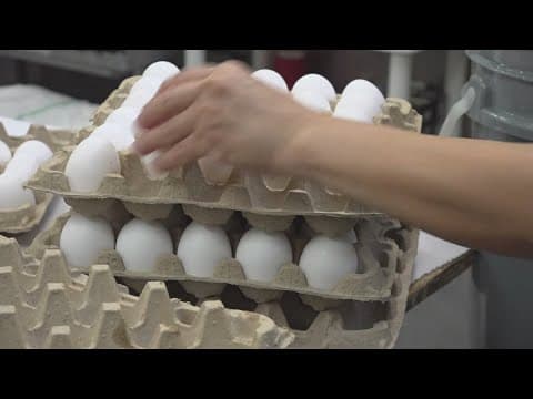King cake bakeries face record-high egg prices
