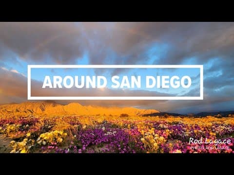 Around San Diego | Stories you may have missed from the week of March 4, 2024