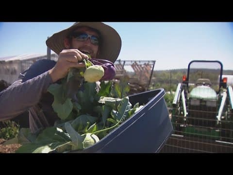 Federal cuts hit food programs, affecting San Diego residents