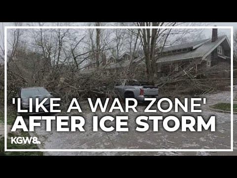 A year later, Lake Oswego community still working to recovering from winter storm damage