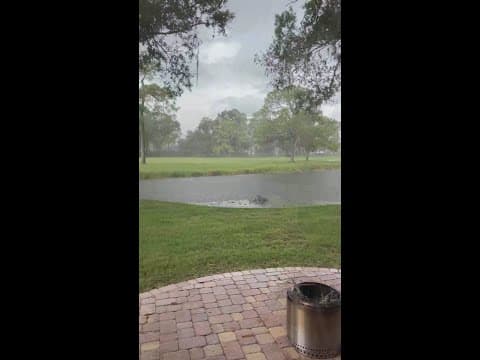 Tampa Bay Radar Check