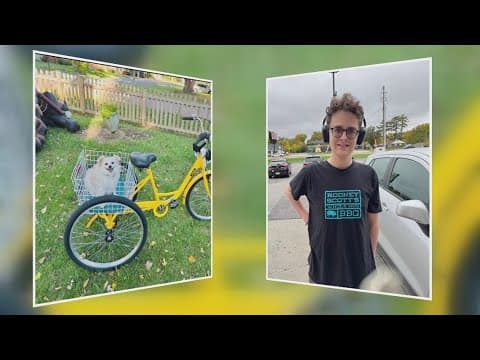 Gift stolen days before Christmas