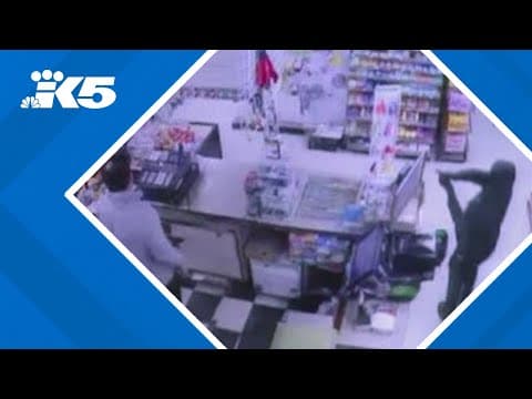 Teen suspect linked to at least 10 armed robberies in Seattle arrested, police say