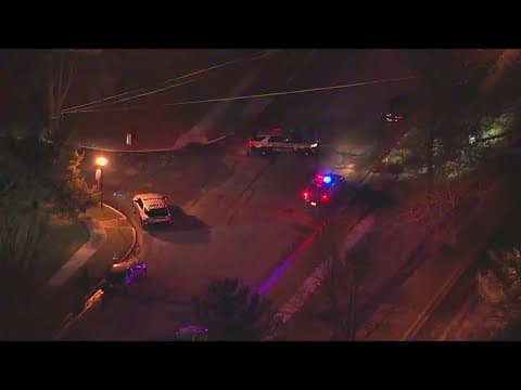 Man shot and killed in his car