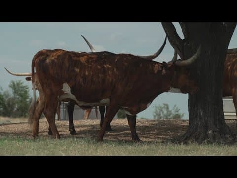 More homes could be coming to Celina, one of the nation's fastest-growing cities