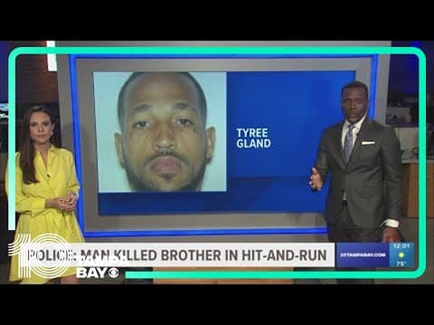 Man killed brother in hit-and-run, St. Pete police say