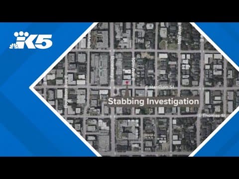 Girl, 17, arrested for stabbing man multiple times in Seattle