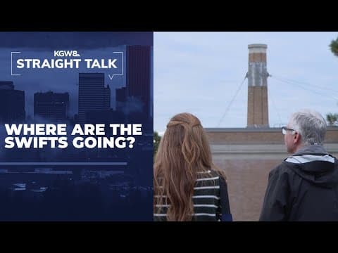 As Vaux's swifts change up their migration habits, Portlanders wonder where to go to keep watching