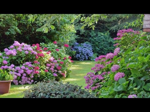 Garden Smart: How a summer staple can elevate your landscape