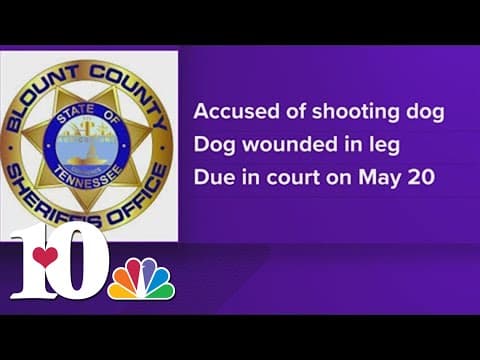 Maryville man charged with shooting neighbor's dog with BB gun