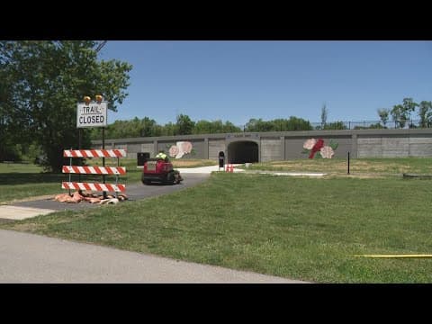 Noblesville throws 'Party on Pleasant' to celebrate opening of Pleasant Street project